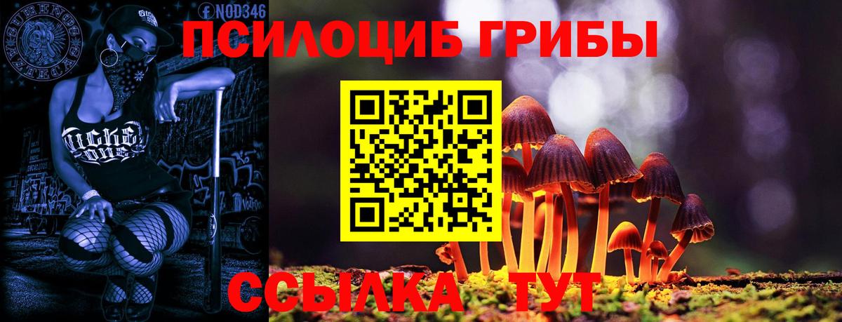 Псилоцибиновые грибы мухоморы  Вход с VPN  Тимашёвск 