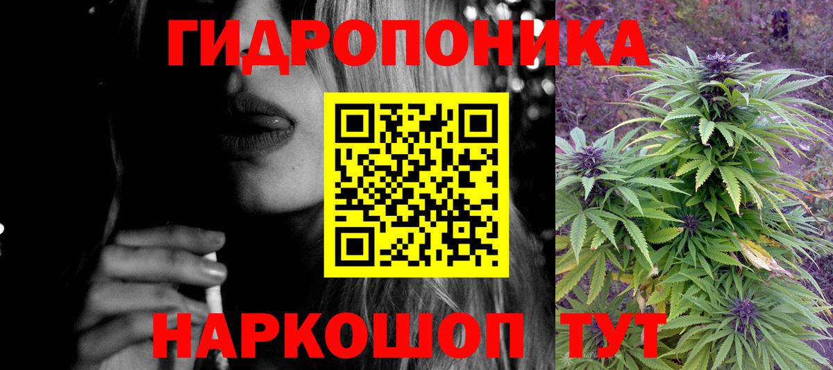 Каннабис MAZAR Тимашёвск
